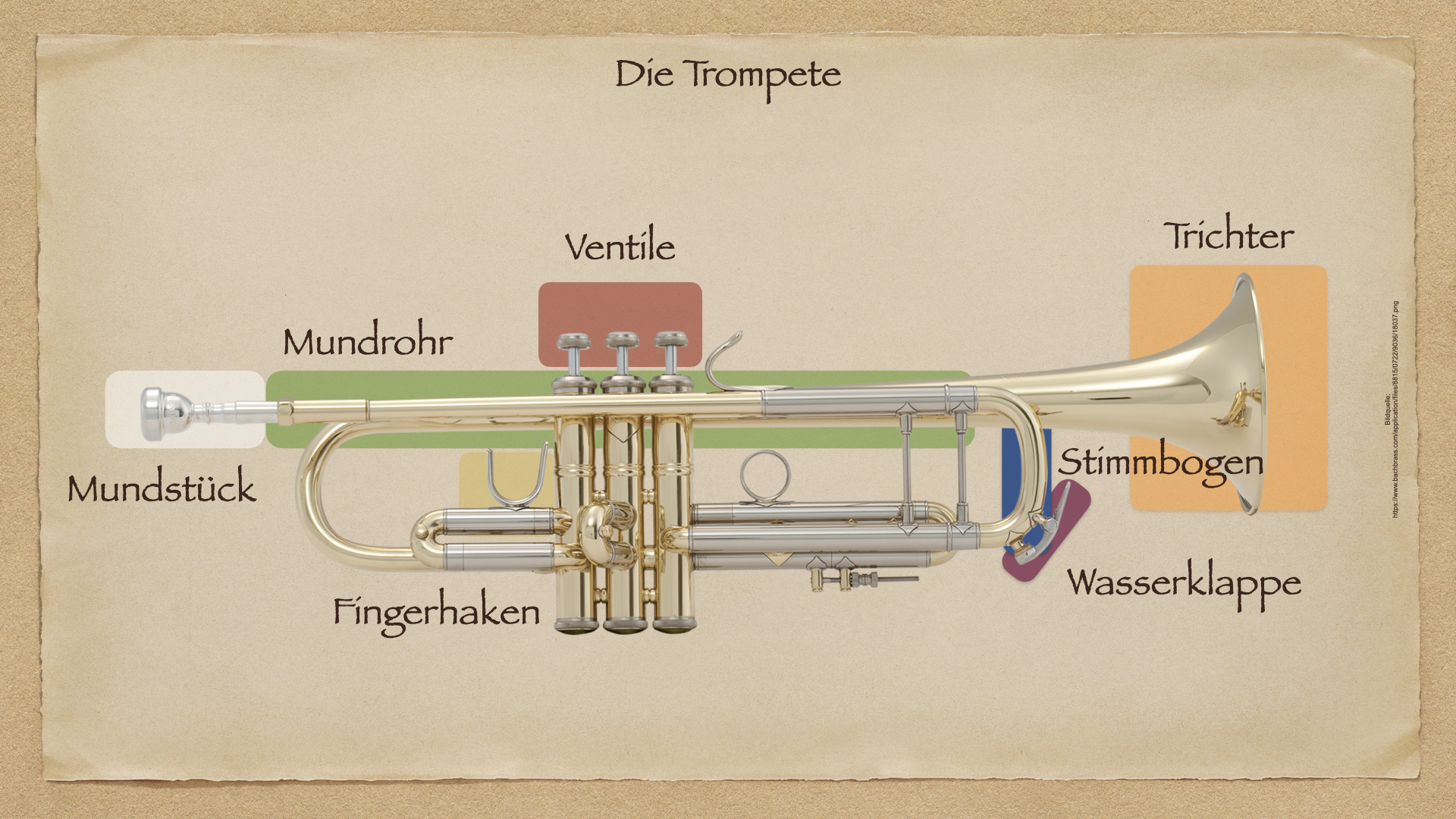 Die Blechblasinstrumente – Musik in der Schule